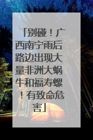 别碰！广西南宁雨后路边出现大量非洲大蜗牛和福寿螺！有致命危害