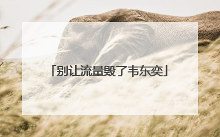 别让流量毁了韦东奕