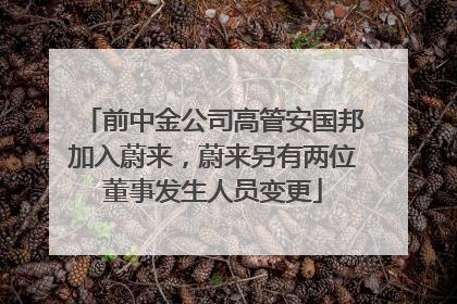 前中金公司高管安国邦加入蔚来,蔚来另有两位董事发生人员变更