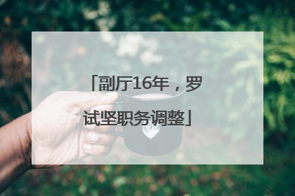 副厅16年，罗试坚职务调整