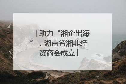 助力“湘企出海”，湖南省湘非经贸商会成立