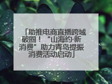 助推电商直播跨域破圈！“山海约·新消费”助力青岛提振消费活动启动