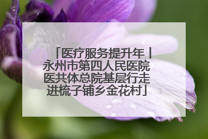 医疗服务提升年丨永州市第四人民医院医共体总院基层行走进梳子铺乡金花村