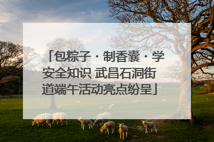 包粽子・制香囊・学安全知识 武昌石洞街道端午活动亮点纷呈