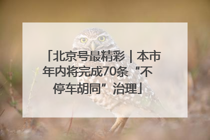 北京号最精彩｜本市年内将完成70条“不停车胡同”治理