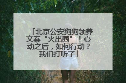 北京公安狗狗领养文案“火出圈”！心动之后，如何行动？我们打听了