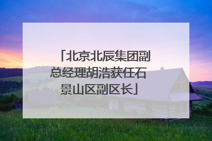 北京北辰集团副总经理胡浩获任石景山区副区长