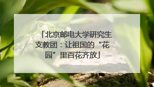 北京邮电大学研究生支教团：让祖国的“花园”里百花齐放