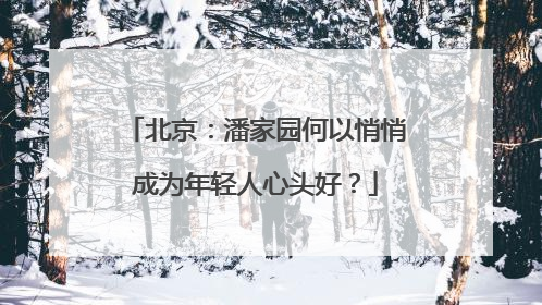 北京：潘家园何以悄悄成为年轻人心头好？