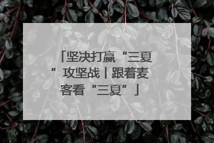 坚决打赢“三夏”攻坚战丨跟着麦客看“三夏”