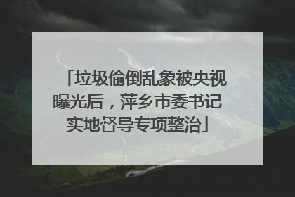 垃圾偷倒乱象被央视曝光后，萍乡市委书记实地督导专项整治