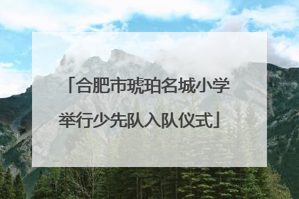 合肥市琥珀名城小学举行少先队入队仪式