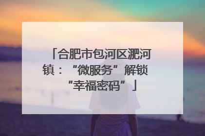 合肥市包河区淝河镇：“微服务”解锁“幸福密码”