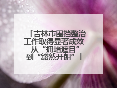 吉林市围挡整治工作取得显著成效 从“拥堵遮目”到“豁然开朗”