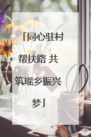 同心驻村帮扶路 共筑瑶乡振兴梦