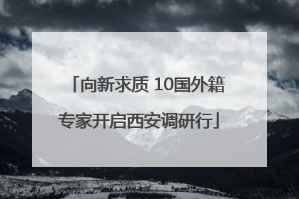 向新求质 10国外籍专家开启西安调研行
