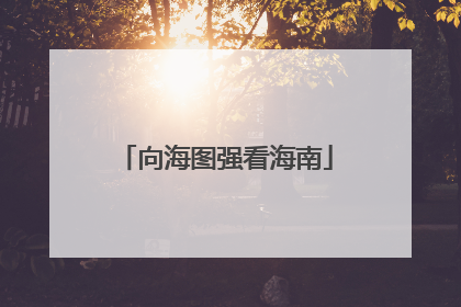 向海图强看海南
