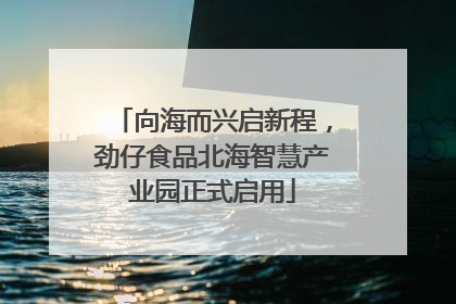 向海而兴启新程，劲仔食品北海智慧产业园正式启用