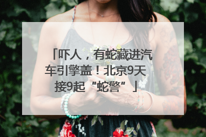 吓人，有蛇藏进汽车引擎盖！北京9天接9起“蛇警”