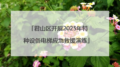 君山区开展2025年特种设备电梯应急救援演练