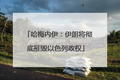 哈梅内伊：伊朗将彻底摧毁以色列政权