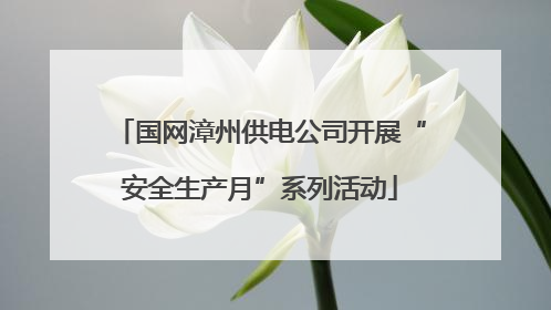 国网漳州供电公司开展“安全生产月”系列活动