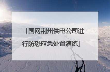 国网荆州供电公司进行防恐应急处置演练