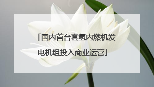 国内首台套氢内燃机发电机组投入商业运营