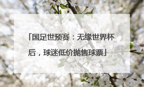 国足世预赛：无缘世界杯后，球迷低价抛售球票