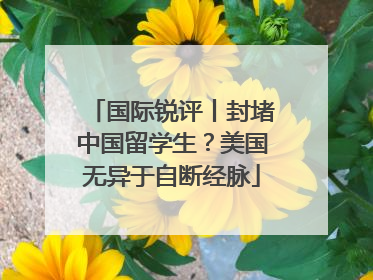 国际锐评丨封堵中国留学生？美国无异于自断经脉