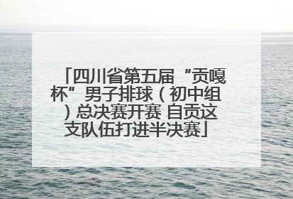 四川省第五届“贡嘎杯”男子排球（初中组）总决赛开赛 自贡这支队伍打进半决赛