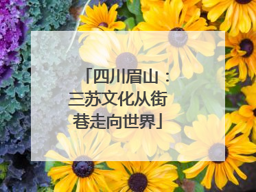 四川眉山：三苏文化从街巷走向世界