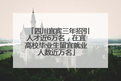 四川宜宾三年招引人才近6万名，在宜高校毕业生留宜就业人数近万名