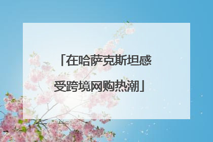 在哈萨克斯坦感受跨境网购热潮