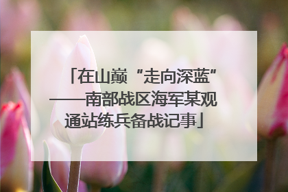 在山巅“走向深蓝”——南部战区海军某观通站练兵备战记事