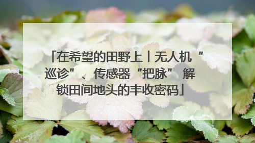 在希望的田野上丨无人机“巡诊”、传感器“把脉” 解锁田间地头的丰收密码