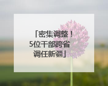 密集调整！5位干部跨省调任新疆