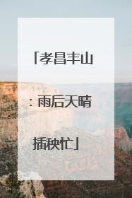 孝昌丰山：雨后天晴插秧忙