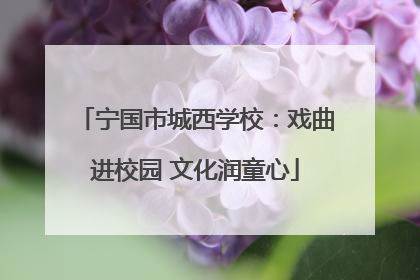 宁国市城西学校：戏曲进校园 文化润童心