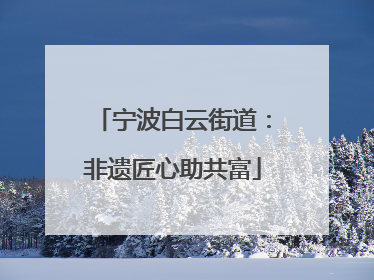 宁波白云街道：非遗匠心助共富