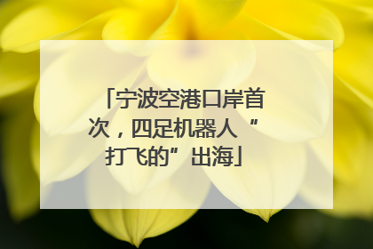 宁波空港口岸首次，四足机器人“打飞的”出海