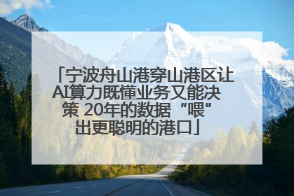 宁波舟山港穿山港区让AI算力既懂业务又能决策 20年的数据“喂”出更聪明的港口