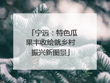 宁远：特色瓜果丰收绘就乡村振兴新图景