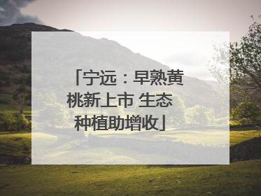 宁远：早熟黄桃新上市 生态种植助增收