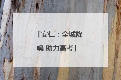 安仁：全城降噪 助力高考