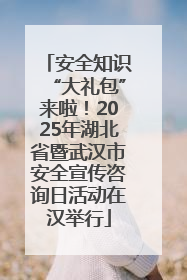 安全知识“大礼包”来啦！2025年湖北省暨武汉市安全宣传咨询日活动在汉举行