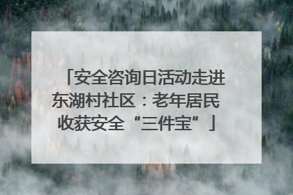 安全咨询日活动走进东湖村社区：老年居民收获安全“三件宝”