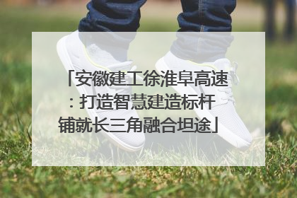 安徽建工徐淮阜高速：打造智慧建造标杆 铺就长三角融合坦途