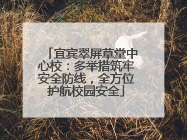 宜宾翠屏草堂中心校：多举措筑牢安全防线，全方位护航校园安全