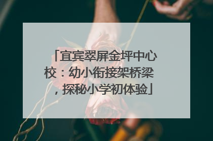宜宾翠屏金坪中心校：幼小衔接架桥梁，探秘小学初体验